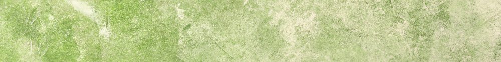 green-textured-stucco-wall-background
